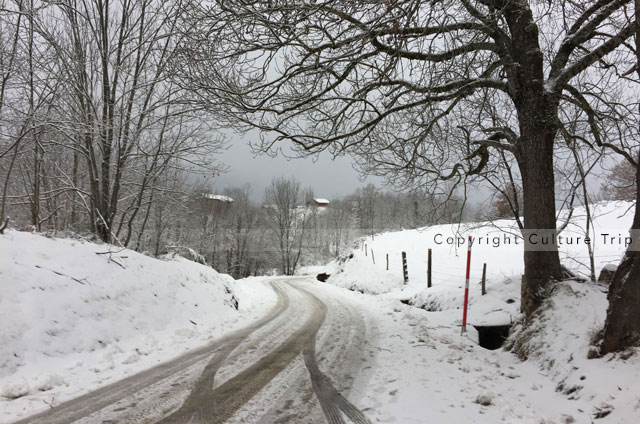 Route enneigée
