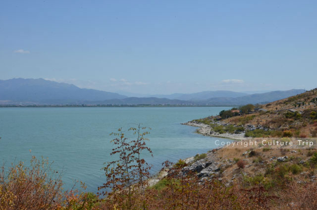 Lac de Shkodra