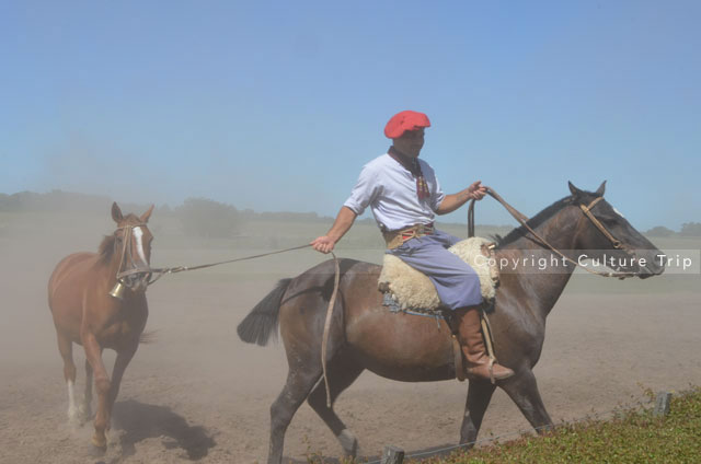 Gauchos