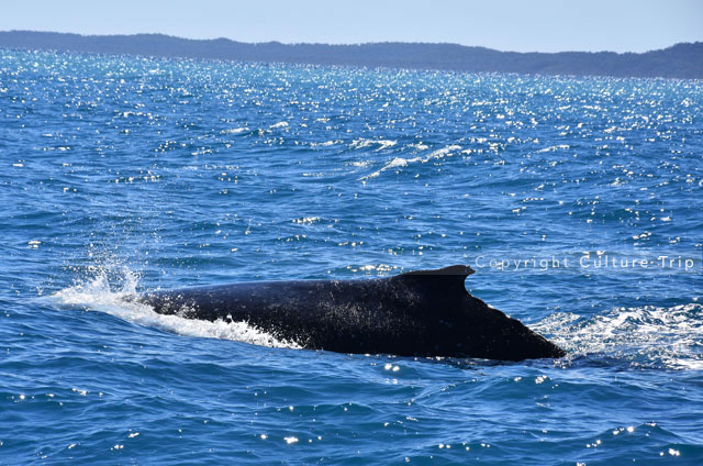 Hervey Bay