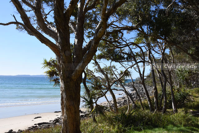 Noosa
