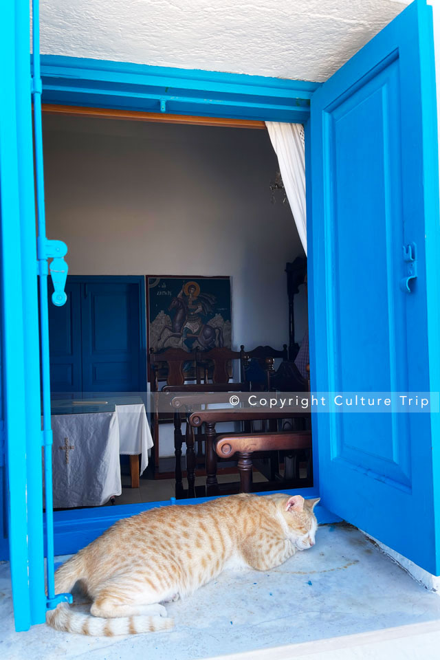 Un chat endormi sur le rebord de la fenêtre de la chapelle