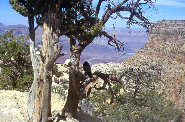 Le Grand Canyon