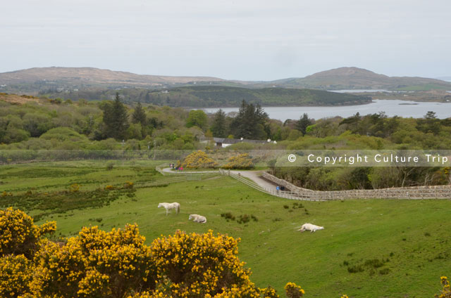 Connemara