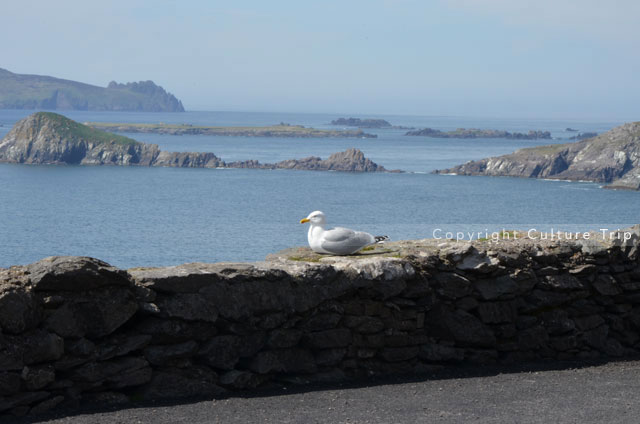Vue sur les îles Blasket depuis la presqu'île de Dingle