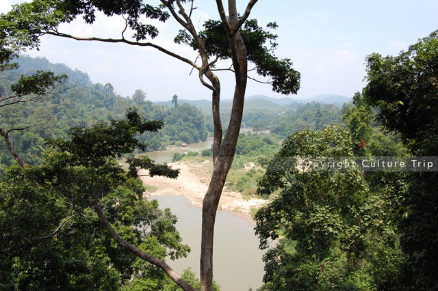 Taman Negara