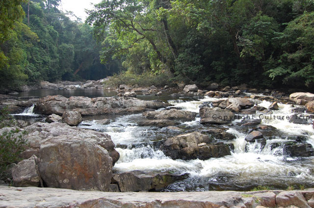 Torrent