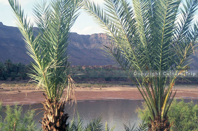 Vallée du Draâ