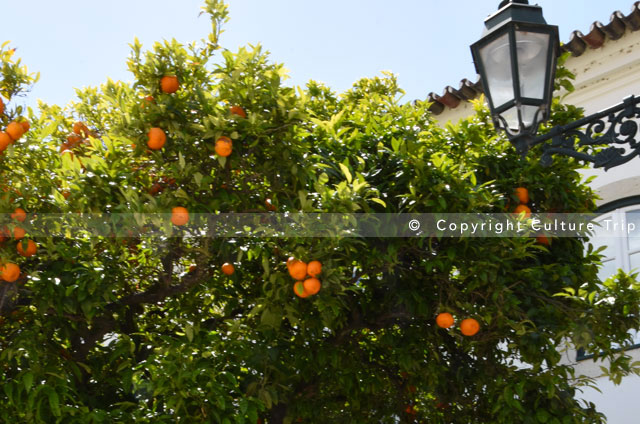 Faro