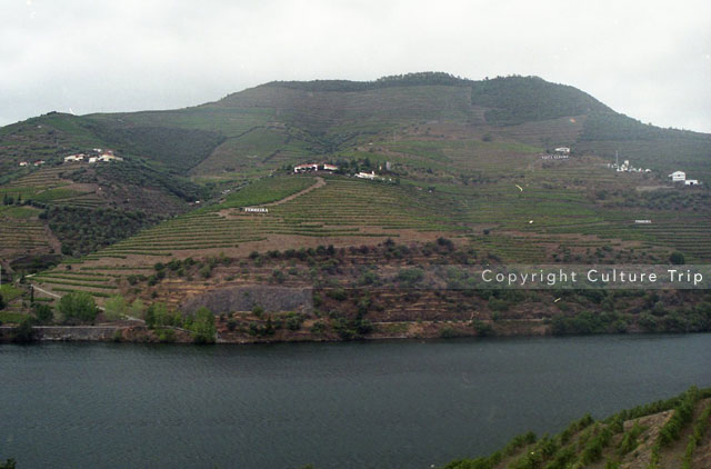 Vallée du Douro
