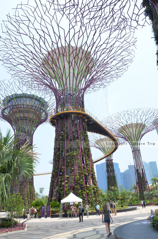 Gardens by the Bay