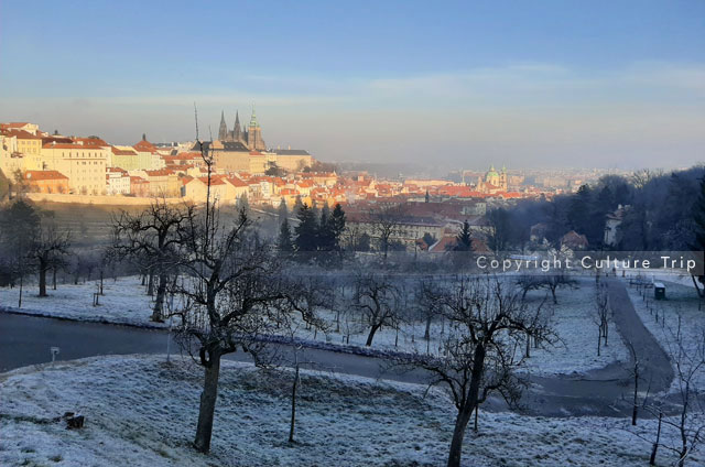 Vue sur le château et la cathédrale Saint-Guy depuis la colline de Petřín
